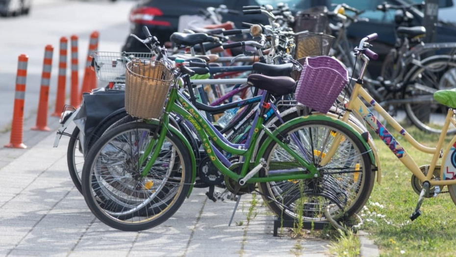 NOVI SAD JE ZELENI GRAD U poslednjoj deceniji u zaštitu životne sredinu uloženo 2,5 milijarde dinara!
