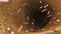 JEDEMO IH SVAKOG DANA, A UNIŠTAVAJU CREVA Pet namirnica pune su skrivenih toksina koje "ubijaju" imunitet