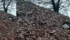 PRONAĐENE SEKIRE KOD ŠABAČKOG MOSTA! Skandal - organizatori protesta sakrili oružje! Pronađen DNK (VIDEO)