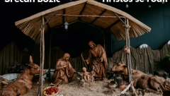 NE PADAJTE POD UTICAJ SUJEVERJA Ovo je jedini običaj koji treba da se ispoštuje za Božić