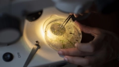 ZANIMLJIVO OTKRIĆE Omirkon je neobičan koktel: Evo šta su naučnici otkrili o mutanti!