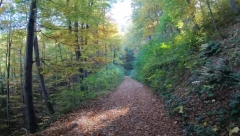 DIGLI HELIKOPTER DA GA NAĐU, ON POGREŠNO SKRENUO Filmska akcija potrage za zalutalim Darkom uspešno završena