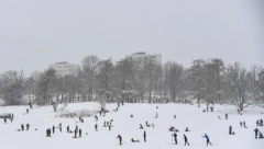 APEL: Vlada Švedske moli građane da se pripreme za moguća isključenja struje