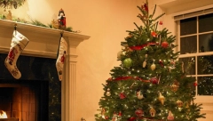 Nije svejedno gde je držite: Ako stavite jelku na ovo mesto privućićete novac i zdravlje