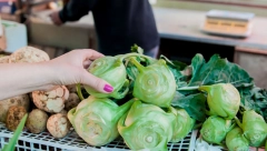 Riznica vitamina B6: Ako jedete kelerabu možete da uvećate broj crvenih krvnih zrnaca