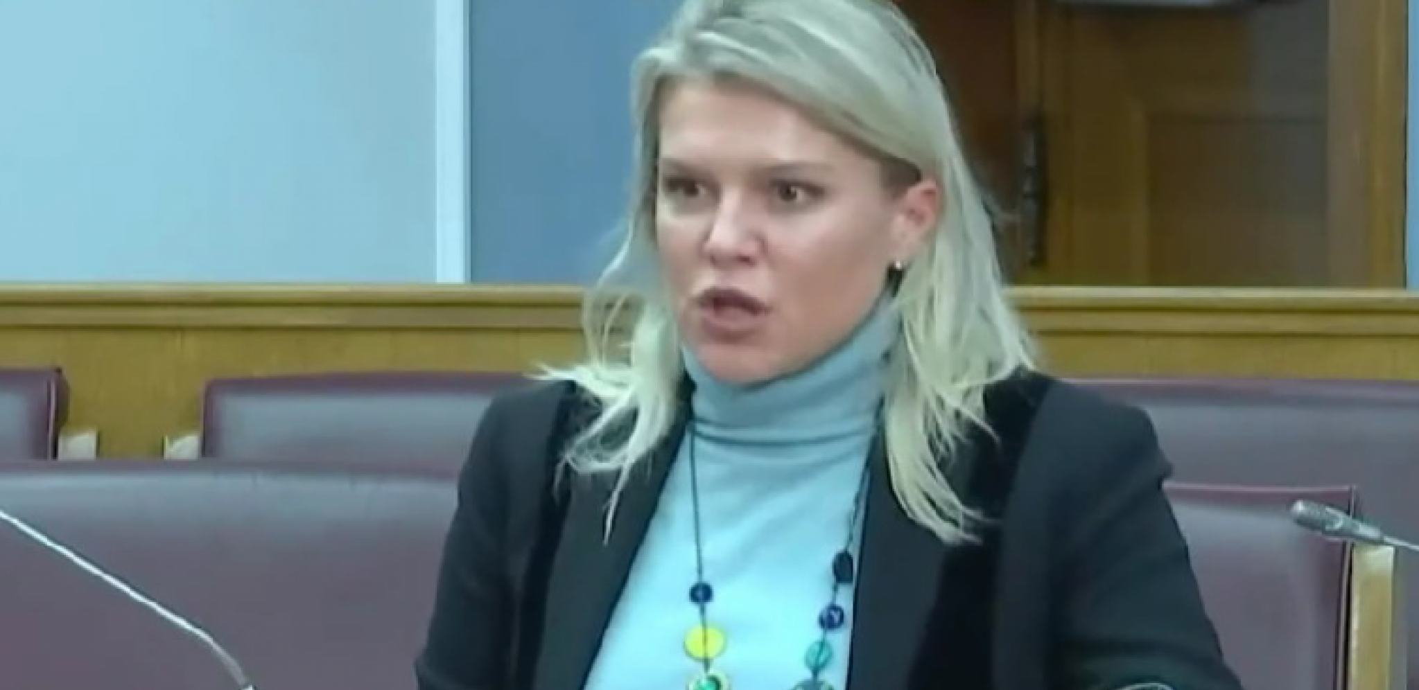 NOVA ANTISRPSKA HISTERIJA U CRNOJ GORI Udaraju na Šešelja zbog žene koja bi rušila crkve