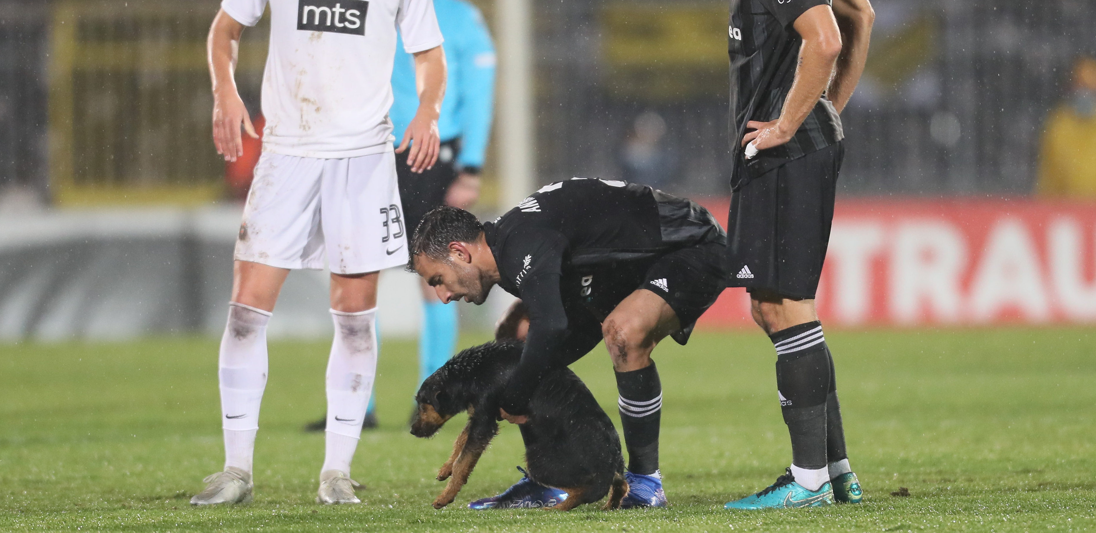 DOGNALDO POSTAO SVETSKA SENZACIJA! Partizan pokreće postupak zbog psa i velike nužde na terenu, ko je na kraju kriv?