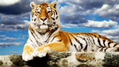 ČUVENI ASTROLOG OTKRIVA Evo koji znak će biti najsrećniji, a koji najnesrećniji u 2022. godini