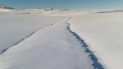 PAO SNEG Srbija danas osvanula u belom: Obucite se toplo. došla je ZIMA