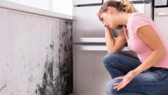 NAPRSKAJTE OVO NA MESTO GDE SE POJAVILA BUĐ Za 10 minuta zid će izgledati kao da ste ga okrečili