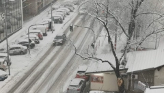 SNEG PRAVI HAOS ŠIROM SRBIJE Jak vetar pravi ogromne smetove, drvo se obrušilo na automobile (FOTO/VIDEO)