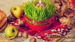 ETNOLOG OTKRIVA ŠTA SE DANAS RADI SA BOŽIĆNOM PŠENICOM Ne smete da je bacite, može da donese nesreću