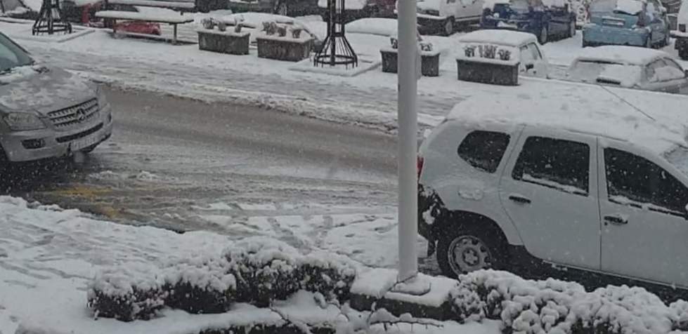 STABLO PALO NA KOLOVOZ Saobraćaj u prekidu na putu Novi Sad-Irig