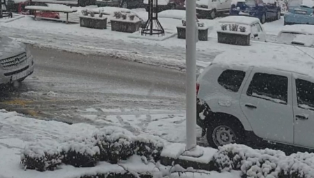 STABLO PALO NA KOLOVOZ Saobraćaj u prekidu na putu Novi Sad-Irig