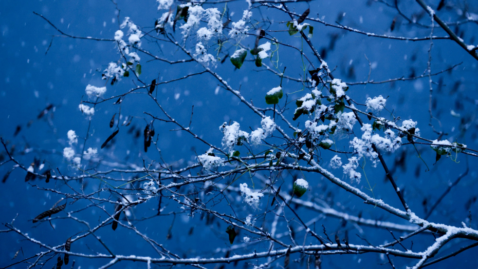 JANUAR POČINJE DA LIČI NA ONAJ STARI Evo kada živa pada na -20 stepeni Celzijusa!