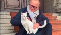 VESIĆ OBJAVIO LEPE VESTI Maca koja je došla ispred Skupštine biće udomljena, javilo se 5 porodica