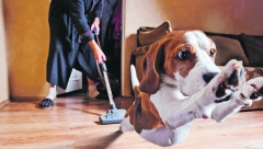 STRAHOVI KOD PASA Za neke stvari na koje nikad ne bismo pomislili ih mogu uplašiti