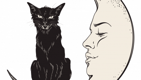 Mačke kao večita inspiracija: Ljubavna priča u koju su upleteni krzneni prijatelji