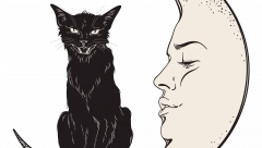 Mačke kao večita inspiracija: Ljubavna priča u koju su upleteni krzneni prijatelji