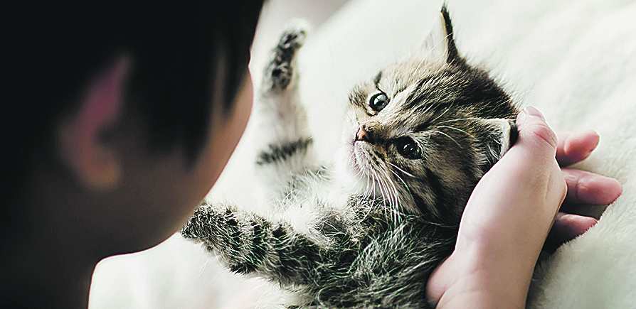 KAKO PROVERITI MACAMA PULS Srce im lupa dva puta brže