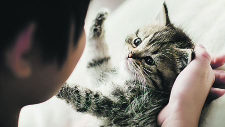 SOCIJALIZUJTE IH NA VREME Kada je savršen trenutak da ljubimce upoznate sa ostalim životinjama