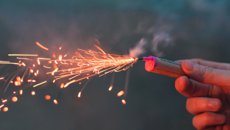 IZBEGNITE KATASTROFU ZA NOVU GODINU Vatrogasac upozorio - jelke su lako zapaljive, kao i zavese!