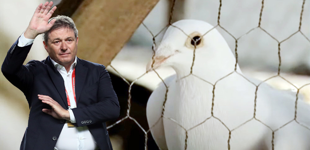 PIKSI KUPIO ČUVENOG GOLUBA RADOJA Selektor pokazao humanu stranu, sada će ga još više ceniti