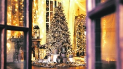 UPOSLITE PRSTIĆE Dekoracija od plodova i semenki