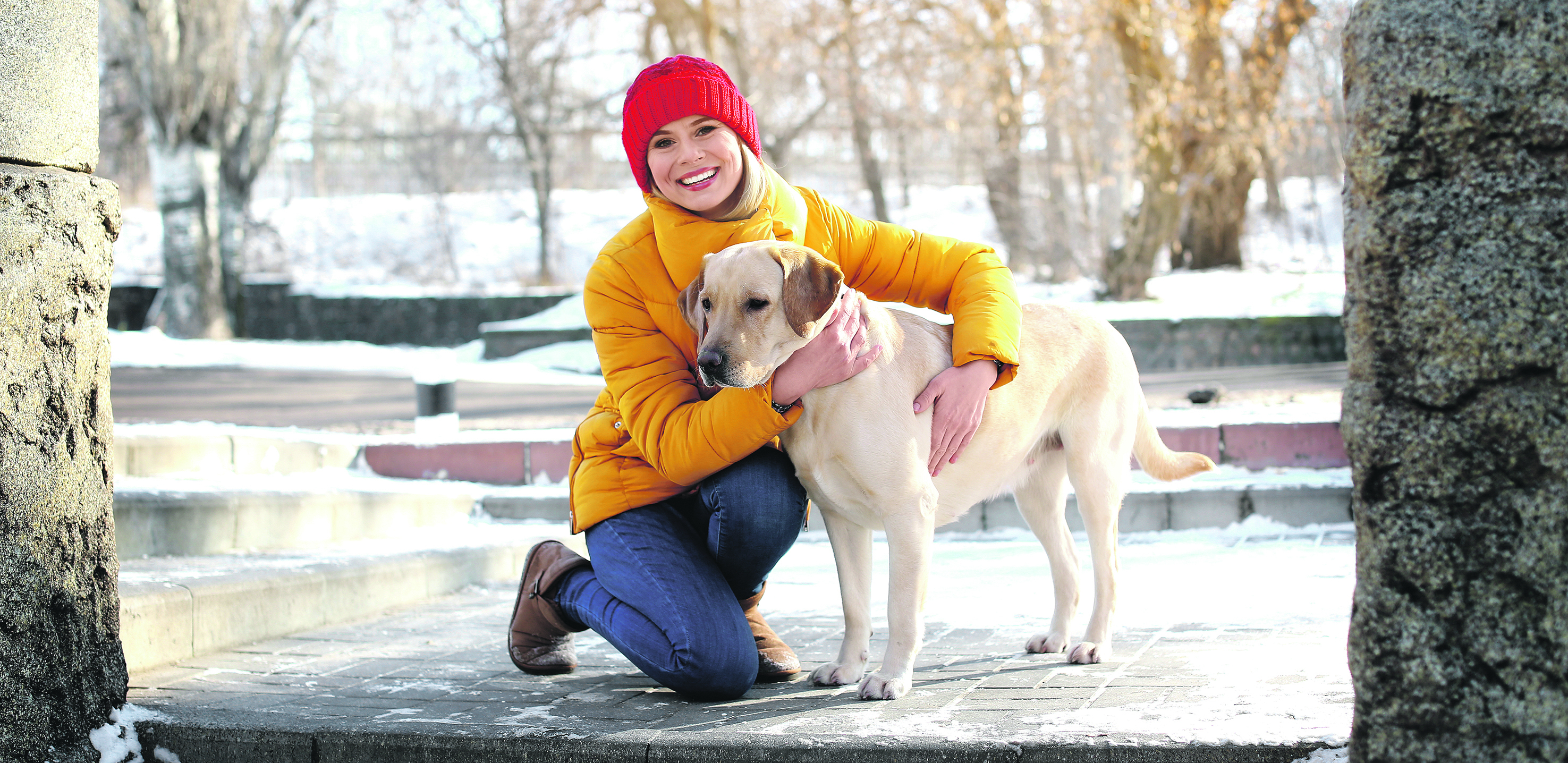 IZABERITE PRAVOG KUĆNOG LJUBIMCA ZA SEBE Ovi psi bi mogli da budu prijatelji sa mačkama