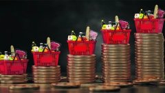 POSKUPELA PICA U CELOJ EVROPI Najveći rast cena zabeležen kod naših komšija