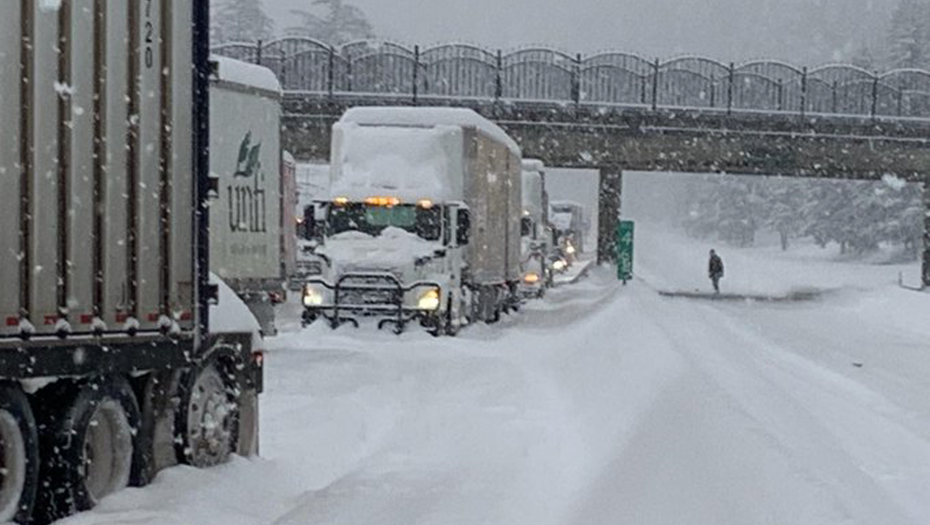 KOLAPS U VIRDŽINIJI, BAJDEN ZAVEJAN Zbog minimalnih gužvi u Srbiji napadnuti Vesić i Momirović, a pogledajte kakav je haos u Americi (FOTO/VIDEO)