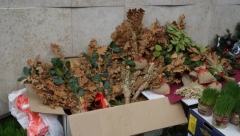 RAZMISLITE KO ĆE VAM UJUTRU PRVI UĆI U KUĆU Šta znači biti "položajnik" na dan Božića!