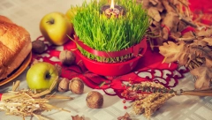 DANAS JE NAJRADOSNIJI HRIŠĆANSKI PRAZIK Za zdravlje, sreću, slogu i napredak, na Božić se valja ispoštovati ove običaje