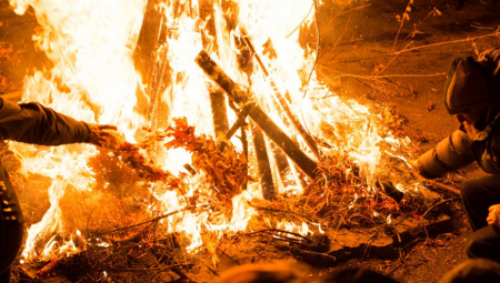 TRADICIJA KOJA TRAJE VEKOVIMA Zašto se na današnji dan pali badnjak ispred crkve, a ne neko drugo drvo?