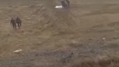 TRAGEDIJA! Poginuo bivši fudbaler Galatasaraja i reprezentacije Turske, imao je samo 27 godina (VIDEO)