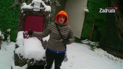 STRAST SE OSEĆA U VAZDUHU! Matora otkrila da se Dalila i Car gledaju, pa prokomentarisala Dejanovo teško  psihičko stanje!