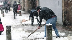DNEVNICA 4.000, A NIKO NEĆE DA RADI!