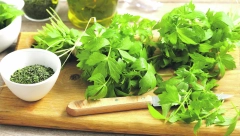 BILJKA LJUPČAC Vegeta iz saksije