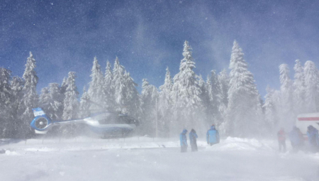 DA LI SU IRENA I DRAGAN ZBOG OVOG STRADALI? Upoznali se u kafiću, pa nedugo zatim tragično skončali