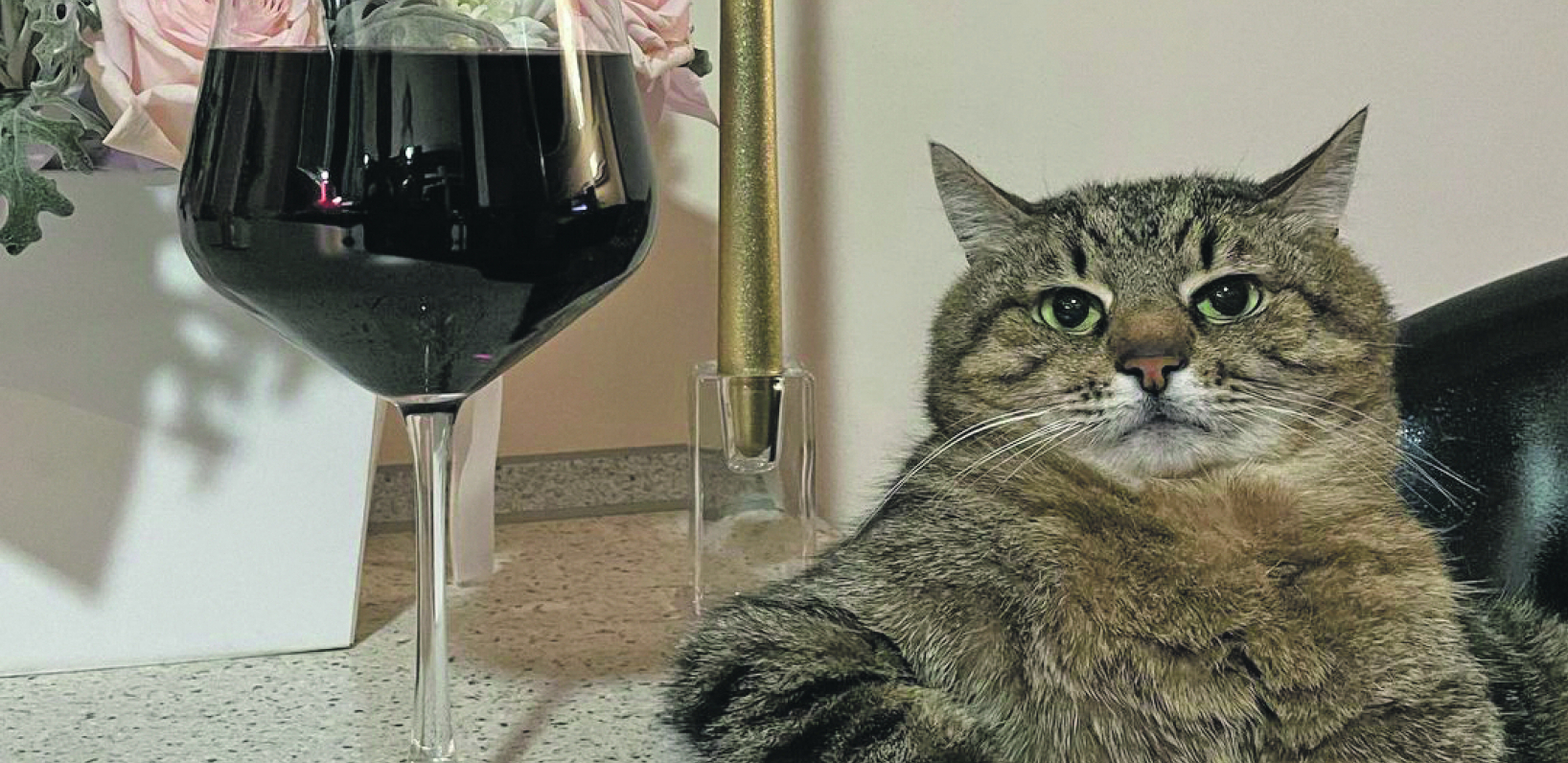 Nova Instagram zvezda: Tužni Stepan