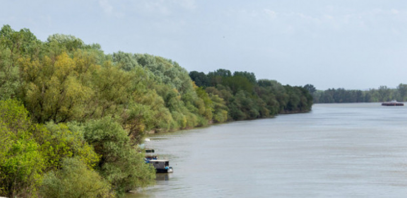 TRAGIČNA VEST: Nađeno telo devojke za koju se sumnja se da je skočila s mosta u Novom Sadu