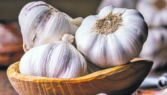 DA VAM NE SMRDI IZ USTA Ove biljke neutrališu mirise