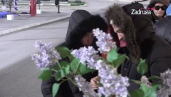 ŠA I NEVENA NERAZDVOJNI! Dalila prenela Tari sve o zbližavanju, ona odmah uradila ovo!