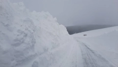 TRAGEDIJA U KANADI Četiri osobe izgubile život u snežnoj oluji, od toga dvoje dece
