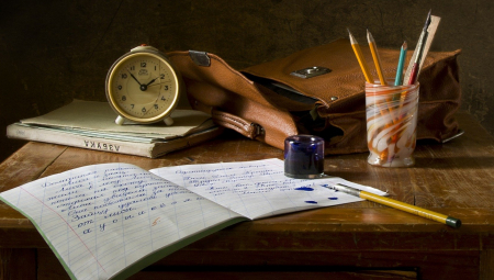 POTRESNA ISPOVEST SRBINA LUKE KOJI ŽIVI U AMERICI "Žao mi je što bar jednom nisam slagao majku..."