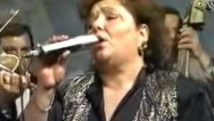 NIJE SE MIRILA SA TEŠKOM SUDBINOM! Bila je najveća folk zvezda osamdesetih, njene pesme svi znaju, a život Vide Pavlović je veoma bolan i tužan!