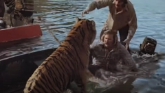 BILO JE PREKO 70 LJUDI TEŠKO POVREĐENO Jeziva priča o snimanju najopasnijeg filma svih vremena, svaka scena je uključivala divlje životinje, a krv je šikljala svuda