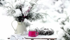 SADNJA TOKOM FEBRUARA  Iako se to ne bi reklo po niskim temperaturama, ali ljubitelji biljaka uskoro kreću u sadnju