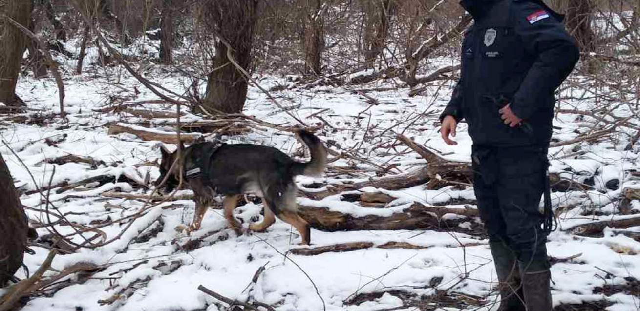 ANGAŽOVAN SPECIJALNI TRAGAČ Tražio je Jelenu Marjanović, sada Mateja Periša!
