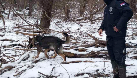 MUP O POTRAZI ZA MATEJEM PERIŠEM Dve lokacije prošle terensku pretragu